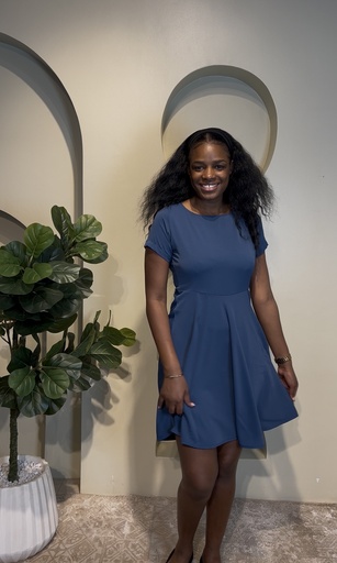 Simple Flare Dress — Navy Blue